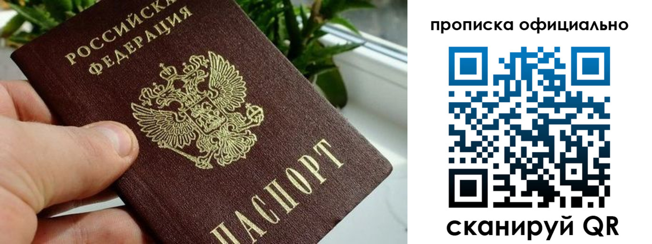 прописка поиск в Краснозаводске